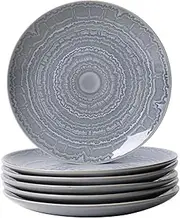 MONITO Ceramic Dinner Plates Set of 6,8.5 Inch Reactive Glaze Porcelain Plates, Dinnerware Dishes Set for Kitchen,Microwave,Dishwasher,Oven Safe, Psychedelic Gray