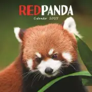 Red Pandas Calendar 2025 - Square Wall Calendar