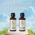 Clean Air - Lemon, Tea Tree Essential oil Wellness Breath Aromatherapy Purifier