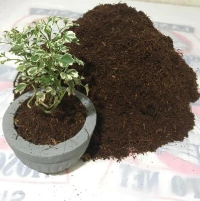100% Natural Organic Coconut Coir Coco Peat Quality Plants Growing Media COMPOST