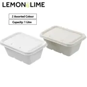 1000ml Food Container Sugarcane Disposable Catering Takeaway Clam Container Bulk