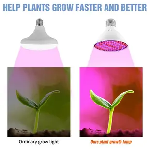 Led 全光譜燈 E27 植物生長燈泡 E14 Phytolamp GU10 生長燈 MR16 溫室水培系統 30W 5