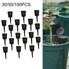 Plant Feeding Simplified 3050100PCS Fertilizer Boxes for Controlled Nutrition