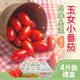 【家購網嚴選】溫室玉女小番茄 4斤/盒 (5.4折)