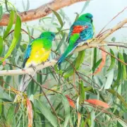QPuzzles 506 Piece Jigsaw Puzzle - Siesta Red Rumped Parrots