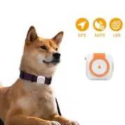 4G GPS Electric Fence Pet Tracker Collar Dogs Cats Real Time Monitoring NANO SIM 4G 5G Signal Disease Prediction Motion Data Historical Tracking Doodle App