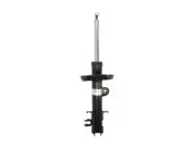 Shock absorber BILSTEIN 22-227065 (for: Fiat)