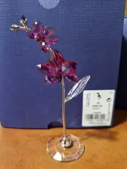 Swarovski Crystal Flower Dreams Large Orchid 5490755