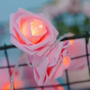 Pink Rose Party Room string fairy light - 20 LED Bulb Battery Powered