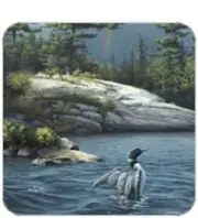 Cork Back Coaster-Holiday Design-LOON-Create Your Own Set!
