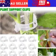 50-200pcs Plant Tomato Clips Trellis Garden Vegetable Binder Twine Plant Support