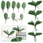 Leaves Simulation Leaves Plastic Grass Artificial Plants Phalaenopsis Leaf