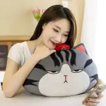 FURYU 貓玩偶 FURYU 貓枕頭 40CM 柔軟柔軟材質 SNI 品質