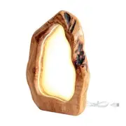 LED Wood Table Lamp, Irregular Bedside Lamp with Dimmable, Creative Home Decor
