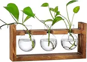 Tabletop Propagation Station,Plants Terrarium Glass Bulb Terrarium with Wooden Stand for Hydroponics Plants,Desktop Hydroponic Planter Air Plant Containers for Indoor Home Garden Wedding Decor
