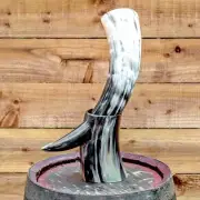 Real Viking warrior drinking horn with bovine horn stand for beer ale whisky