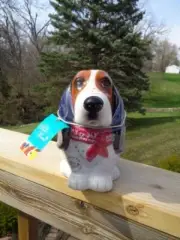 Pioneer Woman Beagle Cookie Candy Jar Henry Dog Canister New Red Bandana New