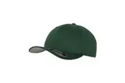 Flexfit Unisex Adult Yupoong Baseball Cap (Spruce Green) - UTRW8713