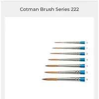 在飛比找蝦皮購物優惠-Winsor & Newton COTMAN BRUSH 2