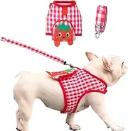 Anti-Escape Dog Harness & Leash Set Pet Vest Harness with Cute Pocket Puppy Mesh Liner Shirt for Cats & Small Dogs (Red Grid Strawberry, S)