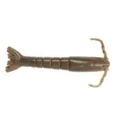 Berkley Long Lasting Gulp Shrimp Soft Bait 2" Natural Shrimp 6/Pack 1115907