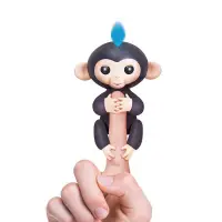 在飛比找松果購物優惠-兒童玩具手指猴觸摸感應指尖玩具猴子(黑色) - (10折)