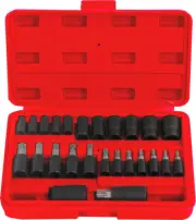 25pc Torx Bit & E Torx Socket set PT11820