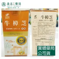 在飛比找樂天市場購物網優惠-藥局 現貨_[港香蘭] 牛樟芝膠囊 120粒 樟芝菌絲體 子