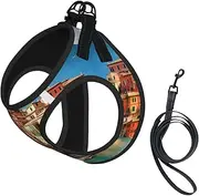 beautiful Italy print Dog Harness and Leash Set, Reflective Adjustable Puppy Vest for Small Medium Large Dogs, Cats