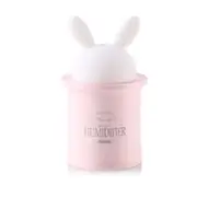 Rt-A260 Usb Ultrasonic Minito Air Humidifier With Led Night Light Home Office Pink