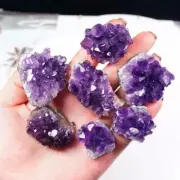 1x Natural Amethyst Quartz Geode Crystal Cluster Healing Decor Specimen Hot Sale