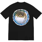 【紐約范特西】預購 SUPREME SS23 BLOWFISH TEE 短T