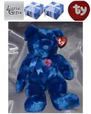 VANDA ~ TY BEANIE BUDDY ~ NEW ~ FOR COLLECTORS OR JUST A CUTE BEAR!
