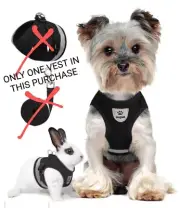 Soft Breathable Mesh Dog/Cat Sm Pet Reflective Harness Adjustable Black