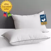 Goose Feather down Core Pillow Surrounded by Polyester 2 Pack, 100% Organic