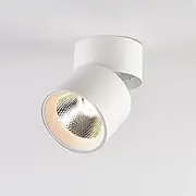 LED Flush Mount Ceiling Spot Light 10W 3000K Warm White Adjustable Tilt Angle Ceiling Light Fixture Indoor White Finish for Picture Art Wall Shop