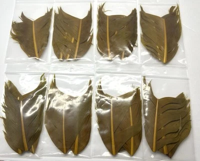 CONDOR SUBSTITUTE TURKEY FEATHERS / 21 PACK LOT FLY TYING FLY FISHING 3