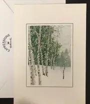 Christmas Card Artistic Tall Trees Pine Trees Cardinal Snowing ~ HALLMARK EXPRES