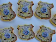 Zootopia Disney Movie / Party Favor./ Badges/ goodie bags/ 10 PIECES