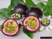 Passionfruit Black Vine - Passiflora edulis