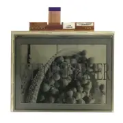 New 8" PVI ED080TC1(LF) No light without touch screen e-ink Display