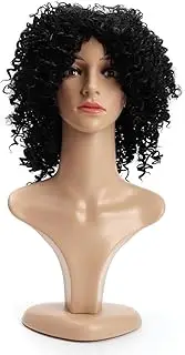 Afro Wigs for Blakc Women|Synthetic Black Wig Curly Wig Glueless Wigs for Daily Use(Black)