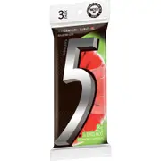 5GUM Sugar Free Gum 3 Pack - Watermelon Burst