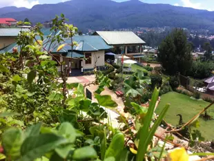 布什茶飯店Tea Bush Hotel