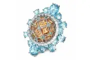 Ladies' Ring Swarovski 5618271 (15)