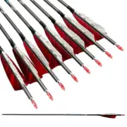 ID6.2 SP300-800 Carbon Arrows 4" Turkey Feather Pin Nock Compound Bow 12pcs