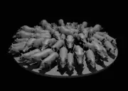 Swarm of 30 to 50 Feral Hogs Monster Manual 28mm Scale DND D&D Tabletop Mini