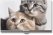 [VFMKT] Slim Metal Business Card Holder Portable Business Card Case Pocket Name Card Holder Cats Wallet for Men Women Office Travel, style, One Size
