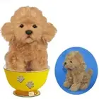 Tea Cup Micro Toy Poodle - Hansa Realistic Stuffed Plush Animal Soft Toy 16cm