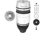 Unity 76NN96S Front Left Air Spring Fits 2011-2018 Porsche Cayenne (for: Porsche)